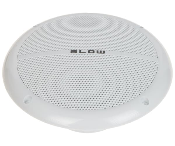 LUBŲ GARSIAKALBIS WS-180 80 W BLOW