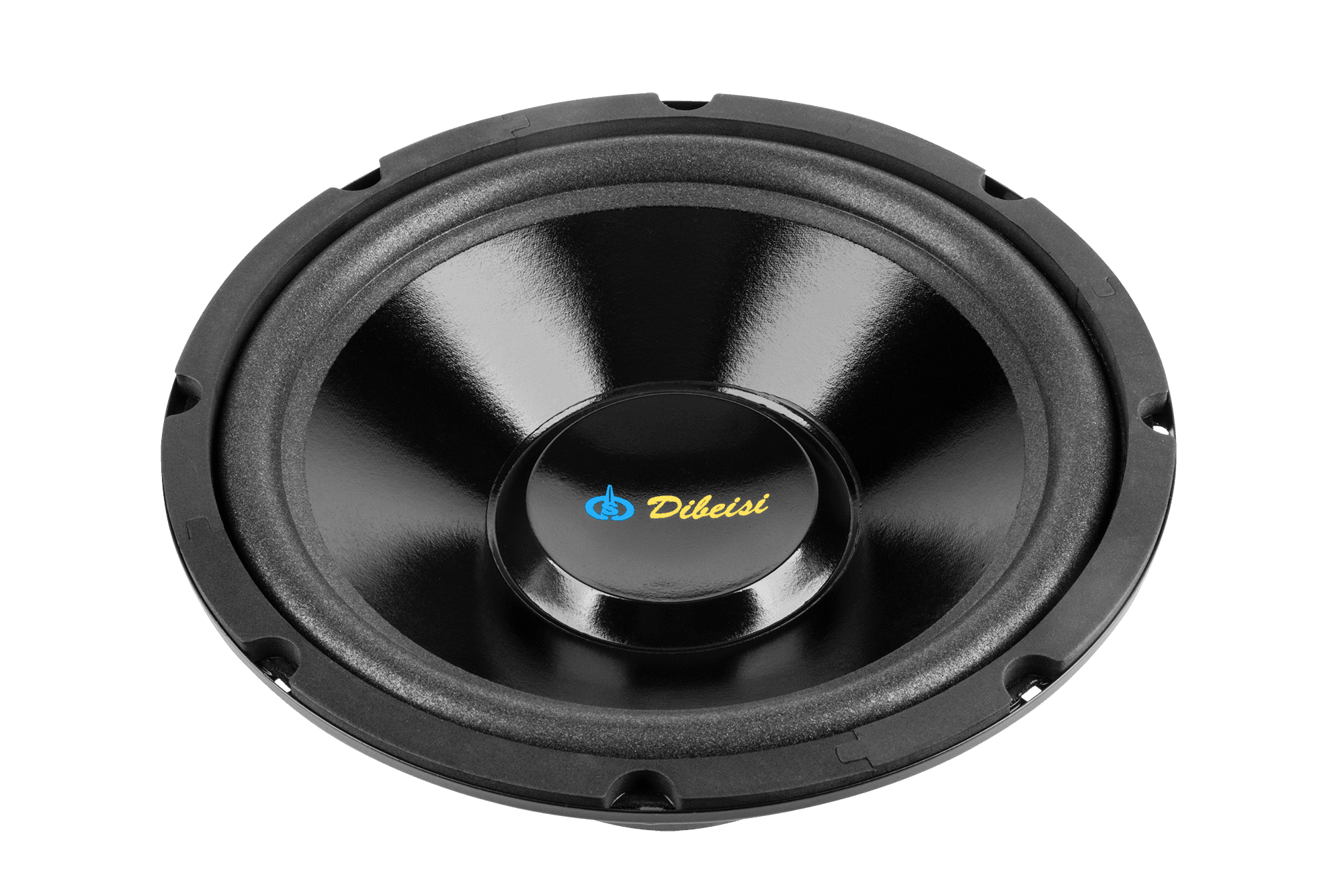 Głośnik 10" DBS-G1001 4 Ohm