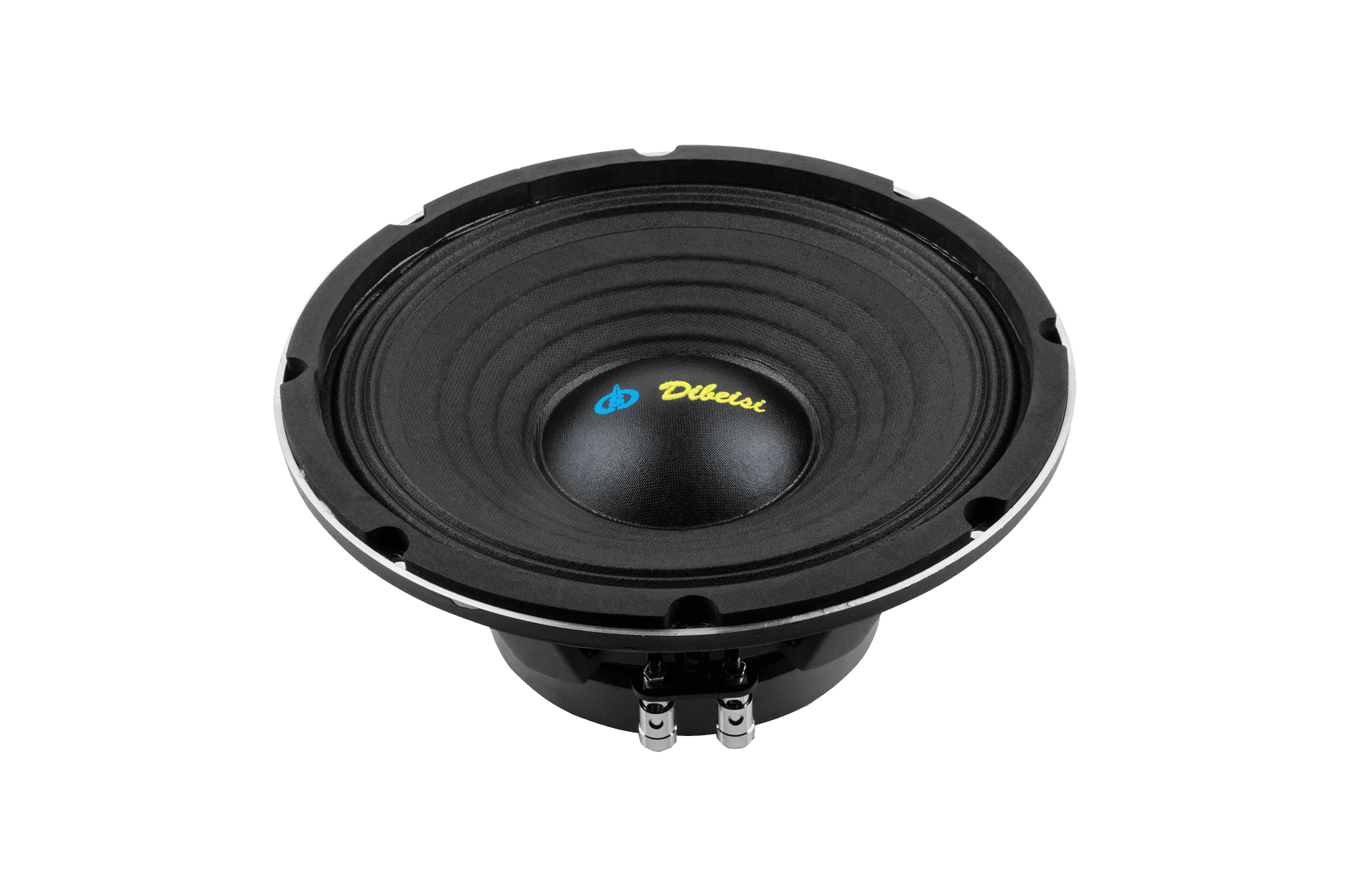 Głośnik 10" DBS-PS1005-8