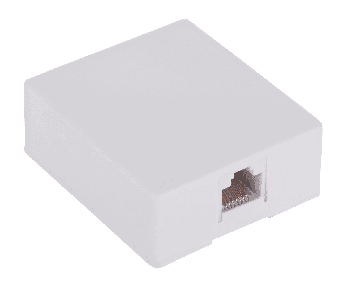 8P8C telefono lizdai