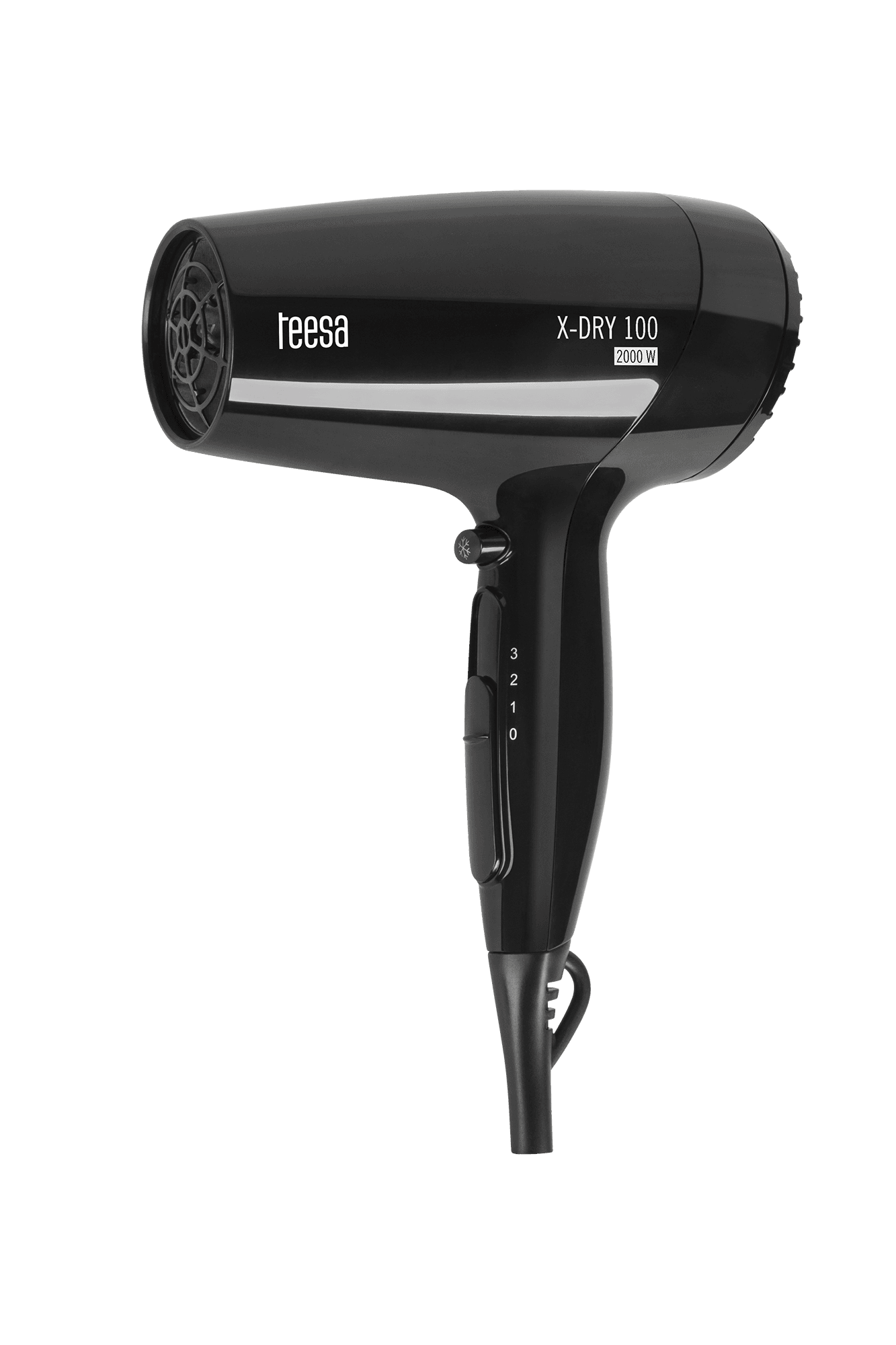 Plaukų džiovintuvas X-DRY 100 2000W