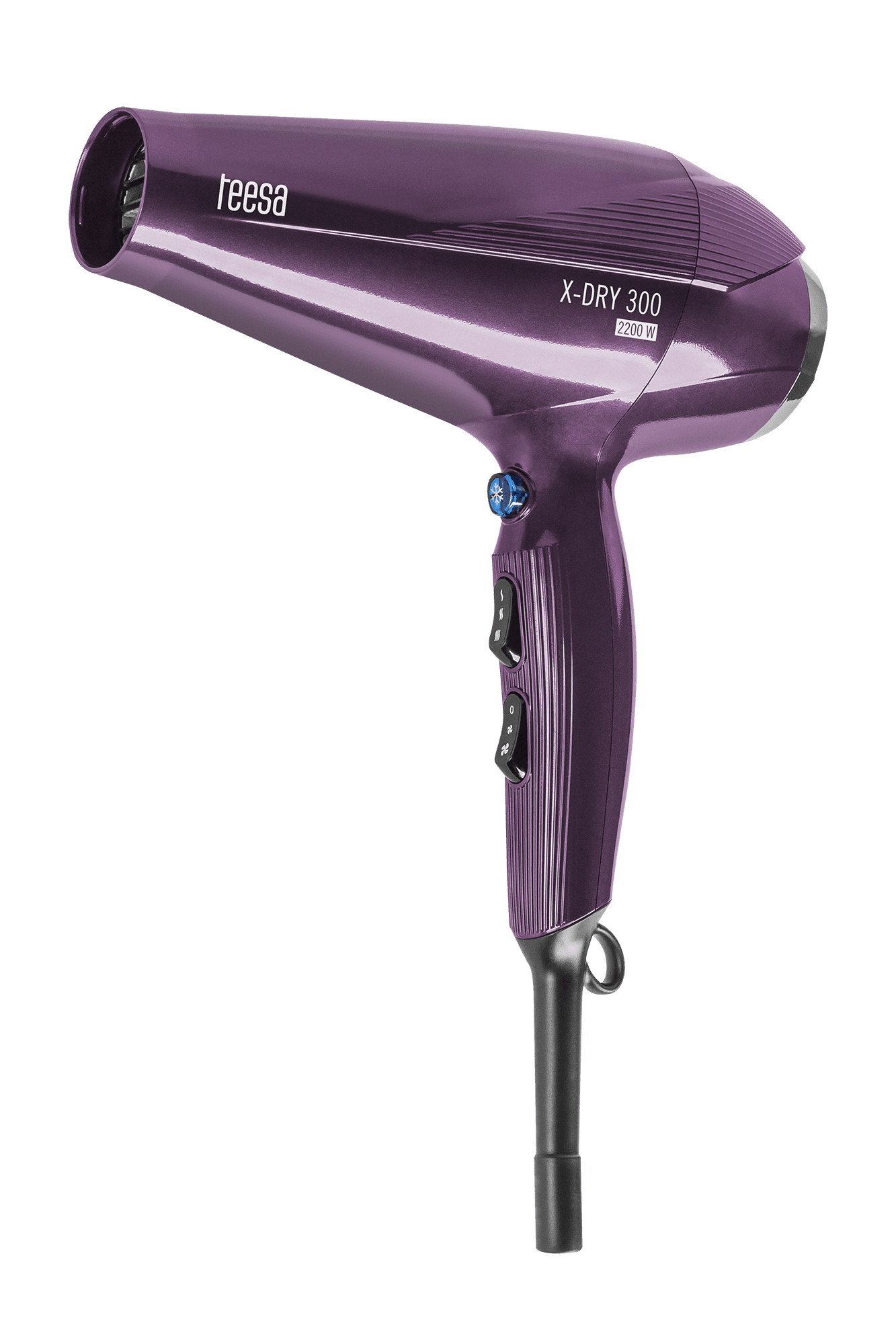 Plaukų džiovintuvas X-DRY 300 2200W